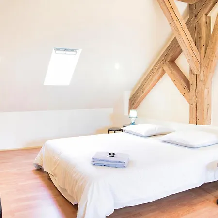 Duplex Dans Grande Ferme Renovee * Divonne-les-Bains